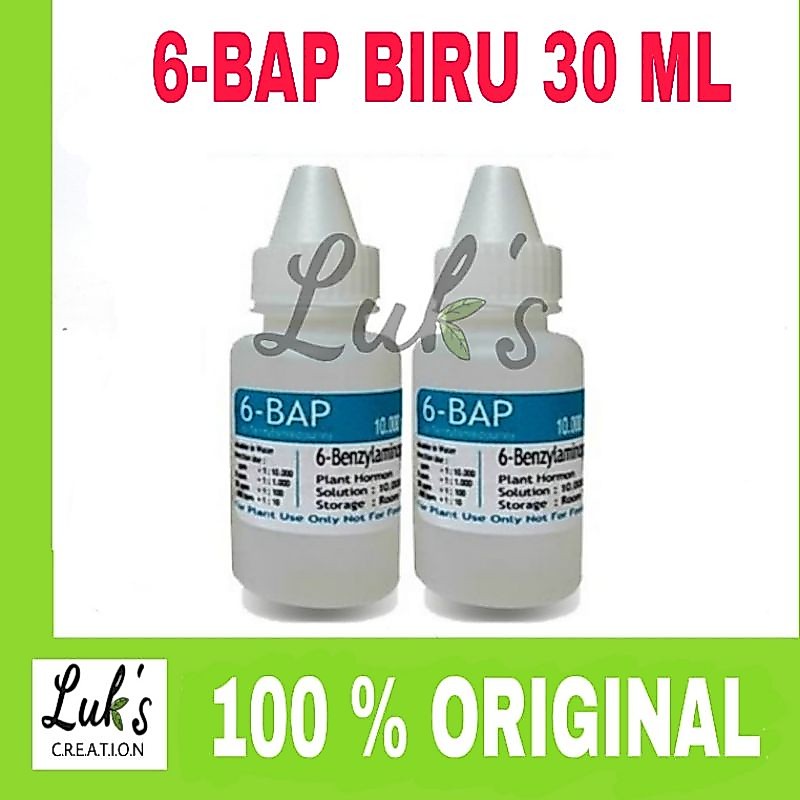 6 - BAP BIRU ORI HOLOGRAM Benzylaminopurine hormon 6 BAP anggrek
