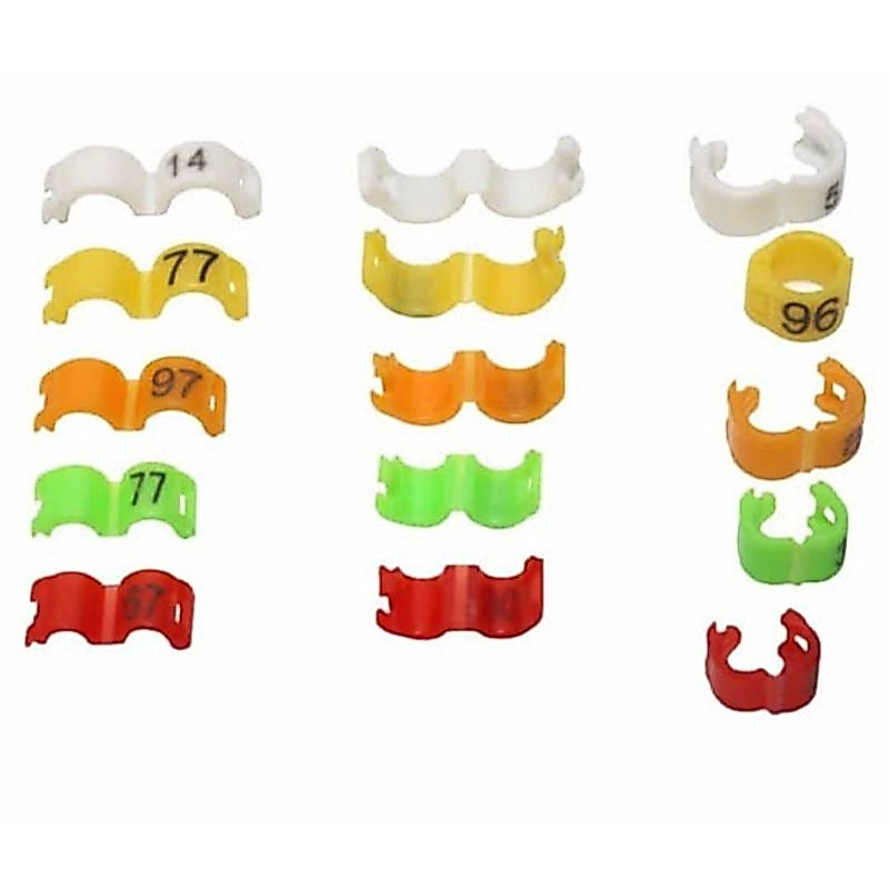 RING KLIP PLASTIK/RING KLIP KENARI/RING KLIP MURAI/RING KLIP LOVEBIRD/RING KLIP CICAK HIJAU/RING KLI