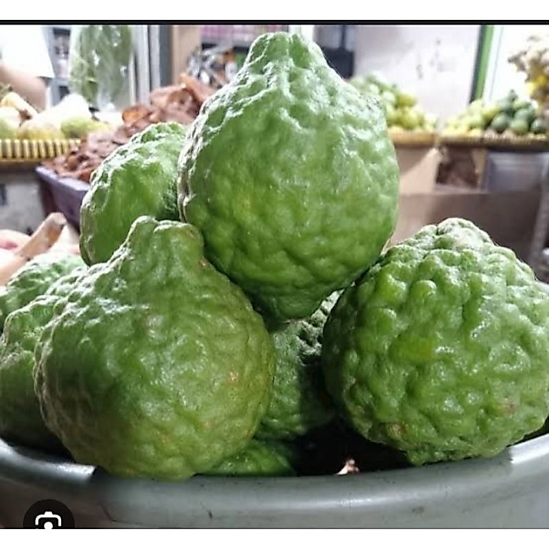 jeruk purut jantan per biji