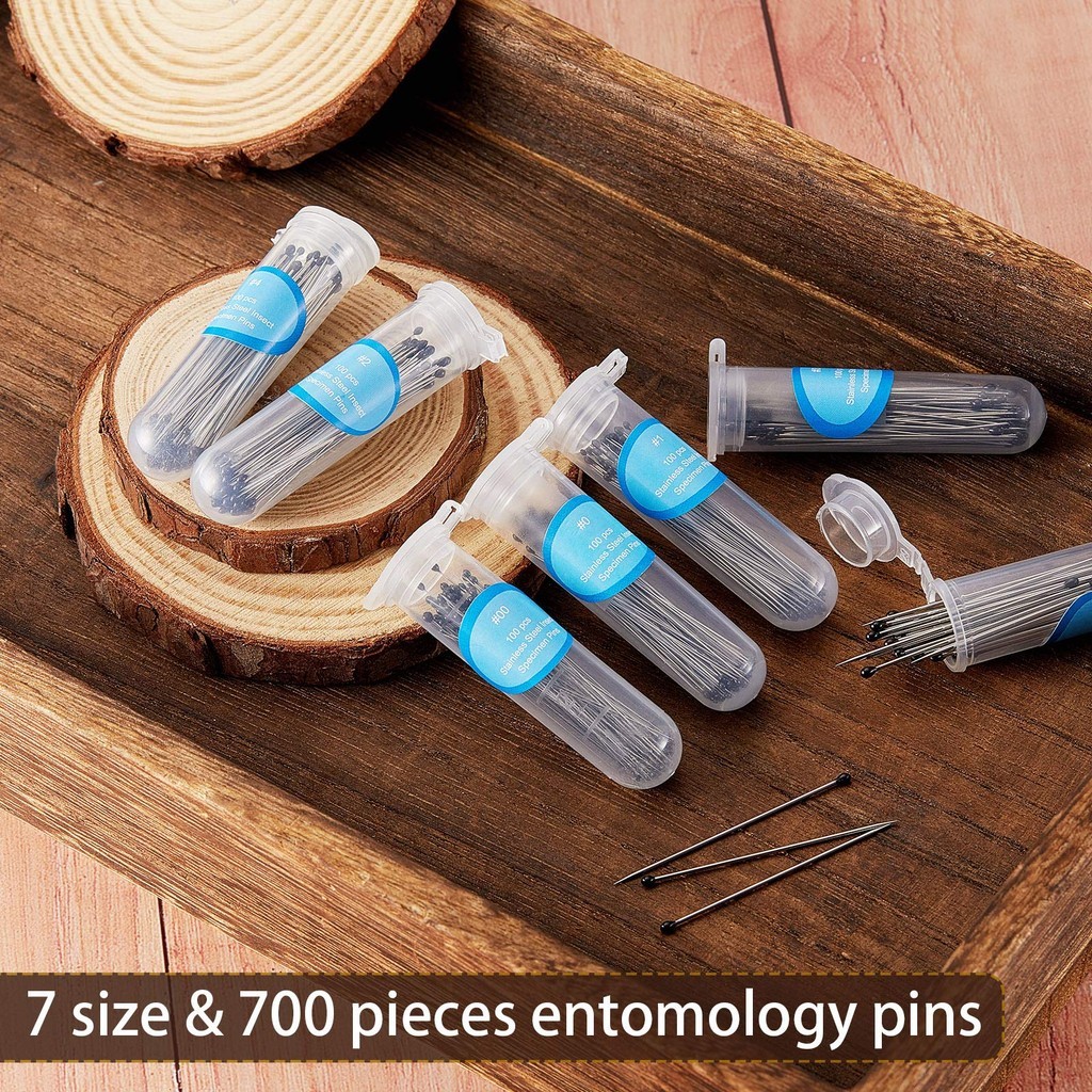 Set 100pcs Pin Spesimen Serangga 40mm Jarum Stainless Steel Entomologi Lab Sekolah Koleksi Serangga