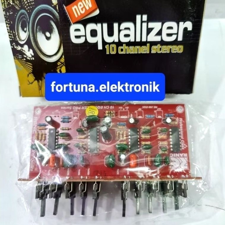 ranic kit equalizer 10chanel (869)