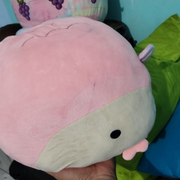 preloved boneka ikan miniso life