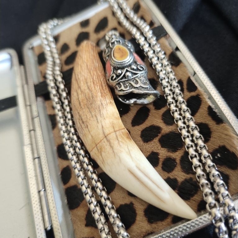 Kalung Rantai Titanium Roll Liontin Ring Taring Macan Tutul