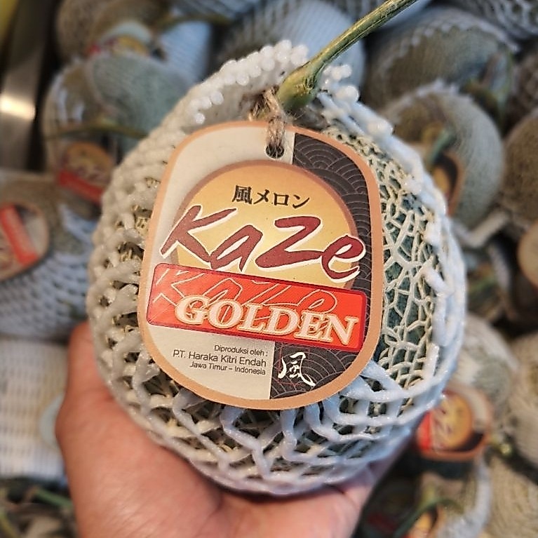 melon golden Kaze Premium melon daging orange fresh -+1,3 kg