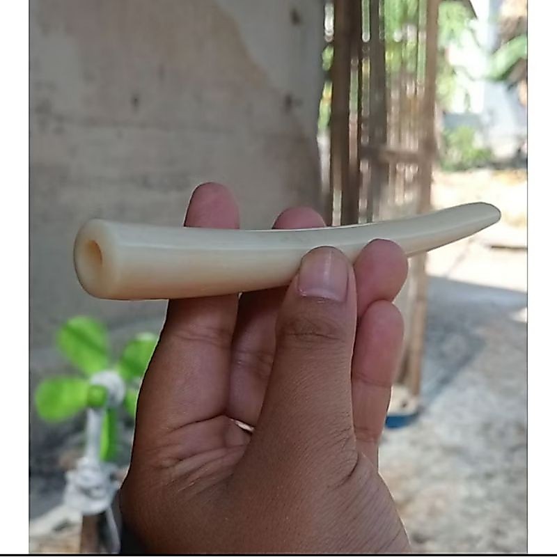 ONCE PIPA TULANG SAPI SUPER TEBAL BANGET