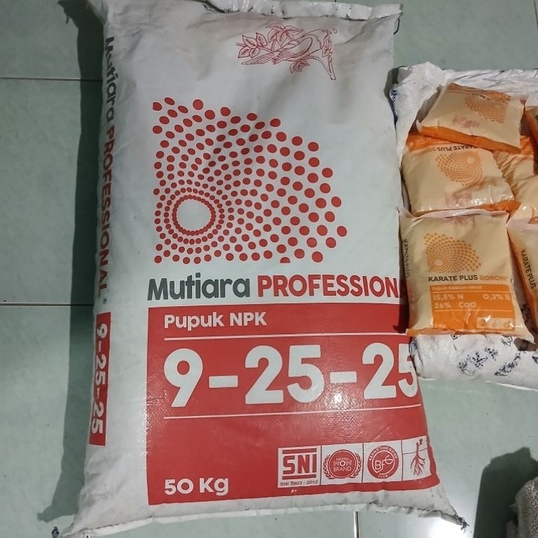 NPK Profesional 1 kg 9.25.25
