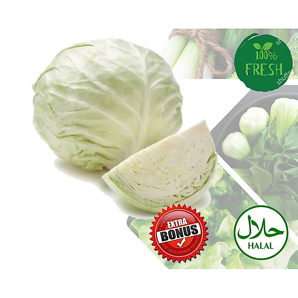 Kol Segar Sayur Sayuran 1 Kg instant lampung