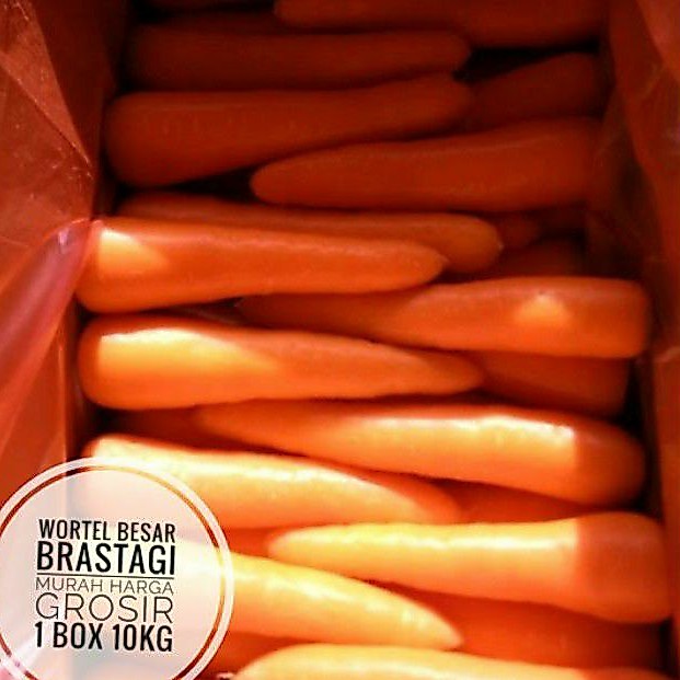 wortel besar brastagi kualitas export 1 dus 10kg