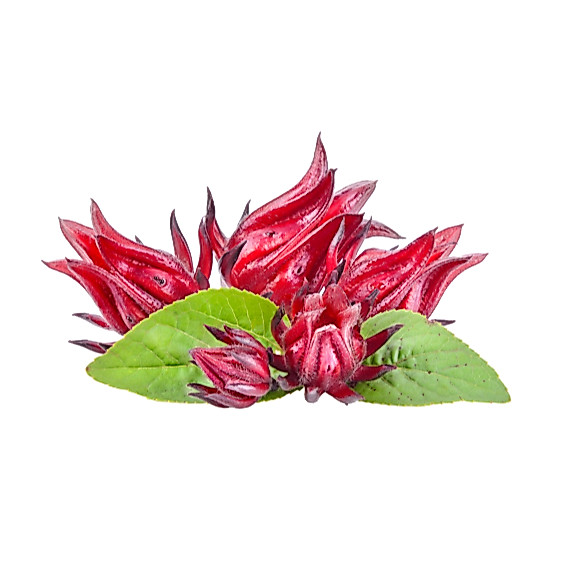 Teh Bunga Rosella Merah isi 100gram / BUNGA ROSELLA MERAH
