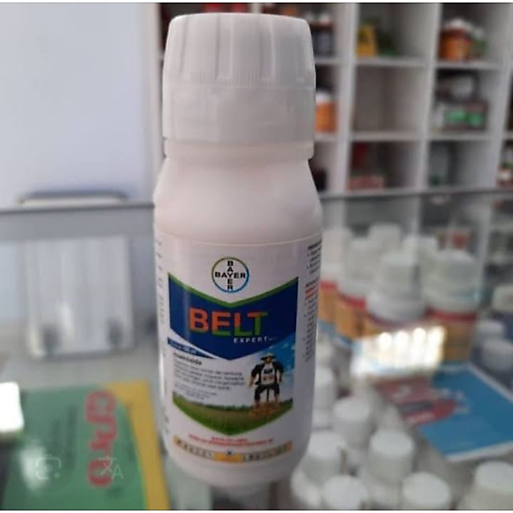 insektisida belt expert 100ml