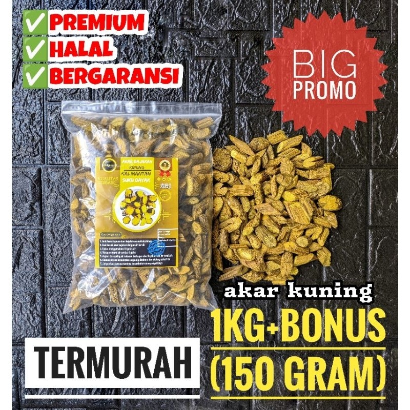 READY Akar Bajakah Kuning Asli Kalimantan (1kg) [BISA COD]