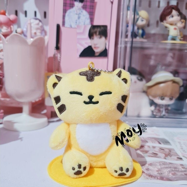 Seventeen Miniteen magnet plush Tamtam hoshi