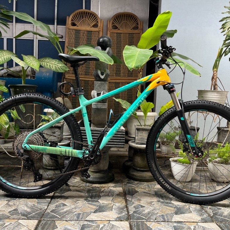POLYGON XTRADA 7 2022