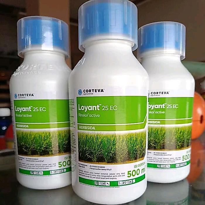 ` Corteva Herbisida Loyant 25 EC 500ml - Bahan Aktif Rinskor Efektif Mengendalikan Gulma Padi &