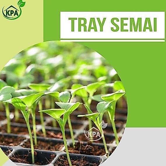Promo Cod Tray Semai / Pot Tray / Tempat Penyemain Benih (50, 72, 128, 200 Lubang ) ><