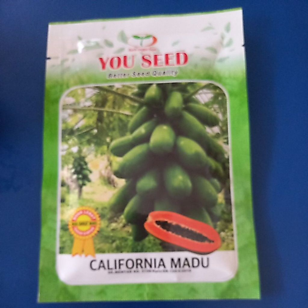 Benih Pepaya California Madu 10 gr