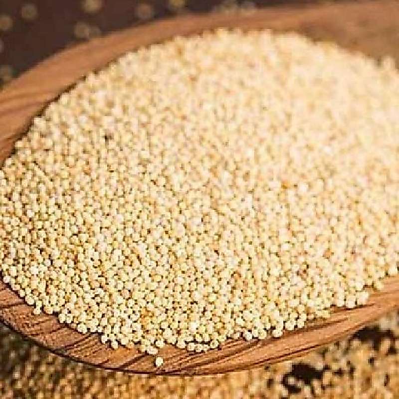 Kas Kas Kaskas Kaca Kace Aceh Poppy Seed Bumbu Masakan Rempah