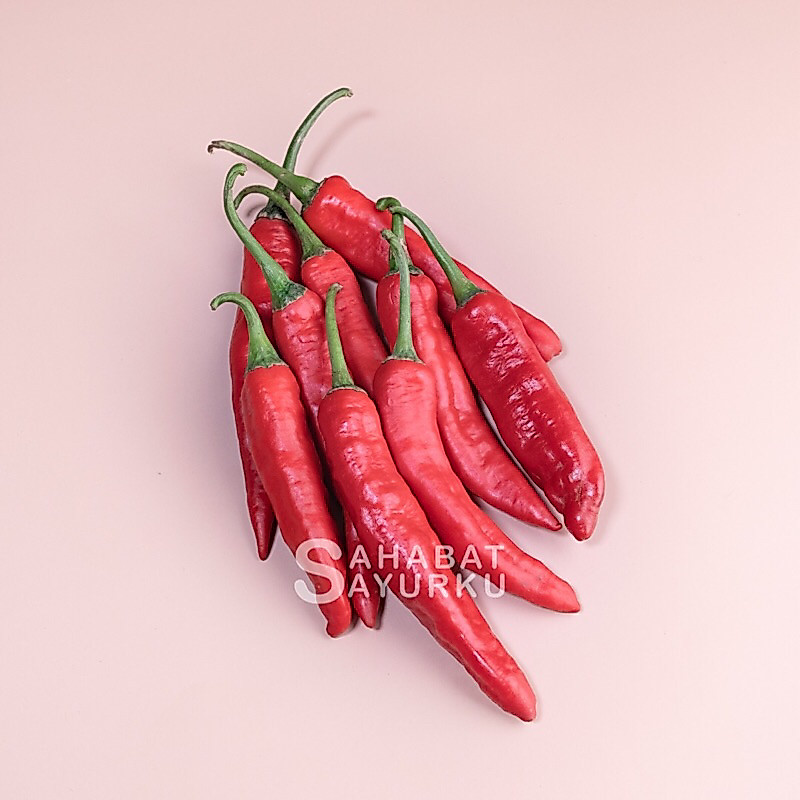 Cabe Merah Tanjung