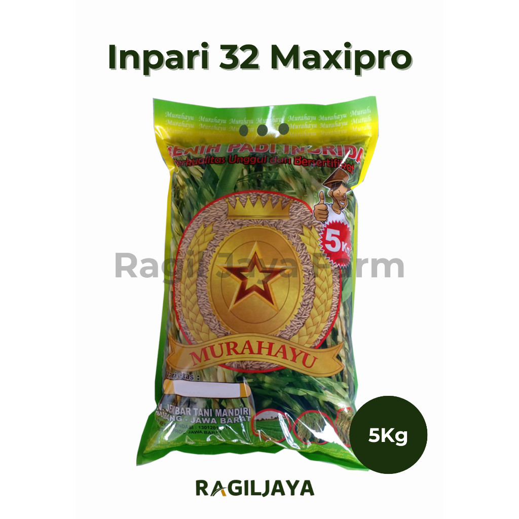 Benih Padi Inpari 32 Maxipro - 5Kg