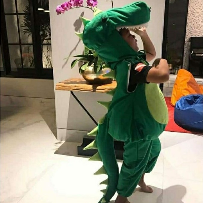 NEW kostum dinosaurus/kostum Dino/kostum binatang/kostum binatang anak/kostum hewan/kostum Dino