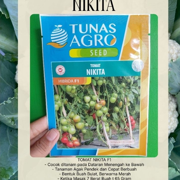 benih tomat nikita 5gr tunas agro buah lebat