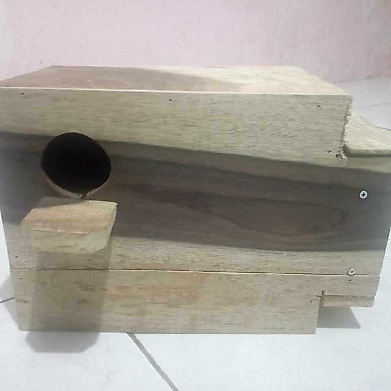 Gowok kaca burung lovebird dan parkit