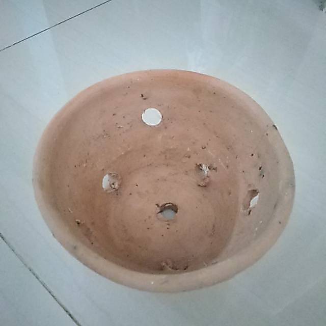 Pot gerabah anggrek