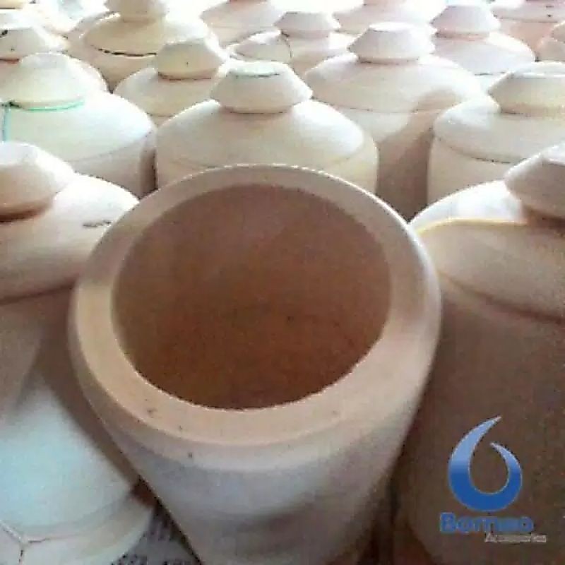 pasak bumi