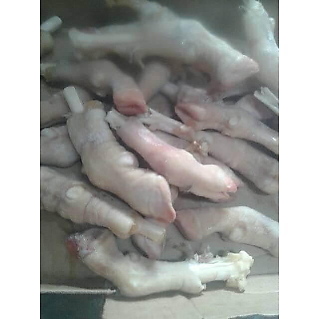 kaki kambing