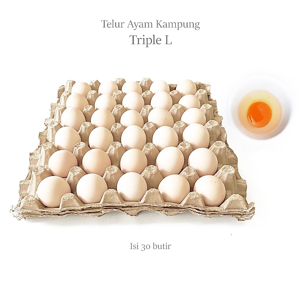 (AREA BANDUNG) TELUR / TELOR AYAM KAMPUNG ARAB FRESH
