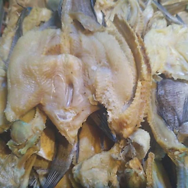 Ikan asin gabus - ikan asin murah - gabus asin