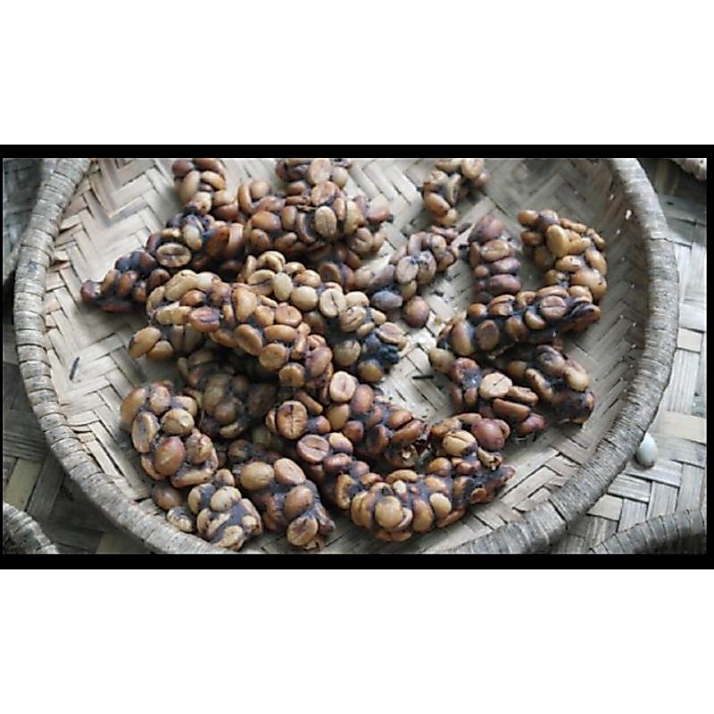 kopi luwak Wonosobo/ coffee luwak