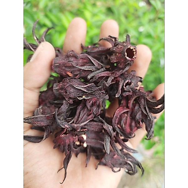 Bunga Rosella Ungu Kering 25 Gram Rosela