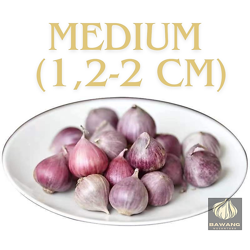 BAWANG PUTIH TUNGGAL / LANANG / SOLO GARLIC IMPORT UKURAN SEDANG 1 KG / 1000 G