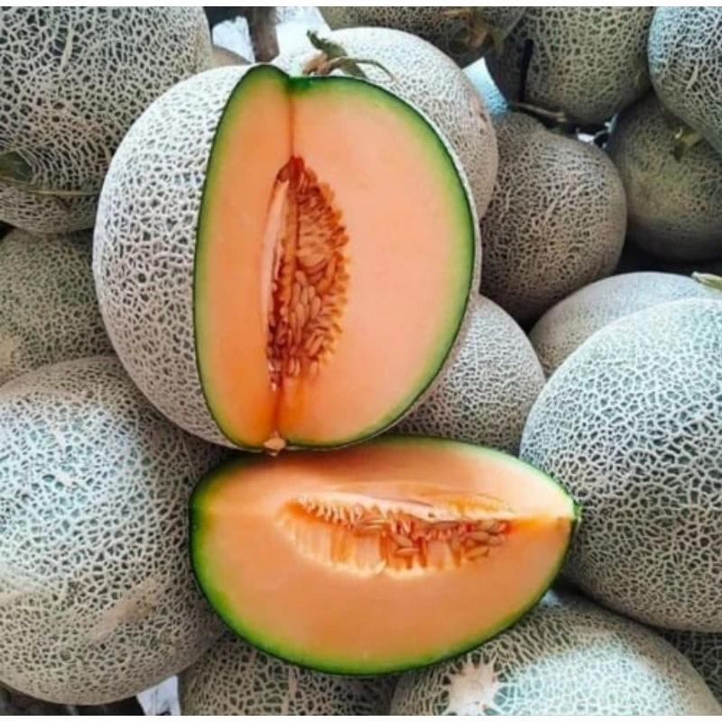 150 Biji> Benih Melon Madu Jumbo | Biji Bibit Melon