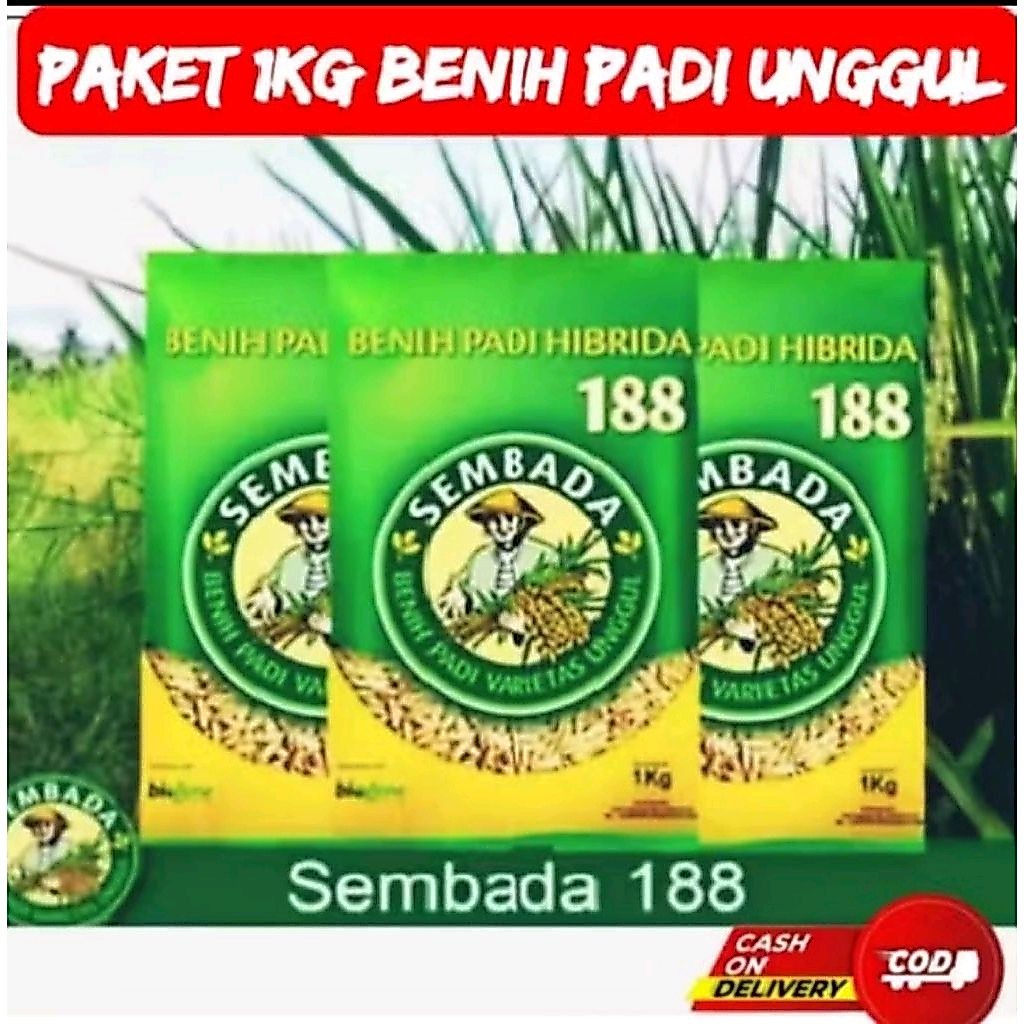 Benih padi SEMBADA 188 kemasan 1kg