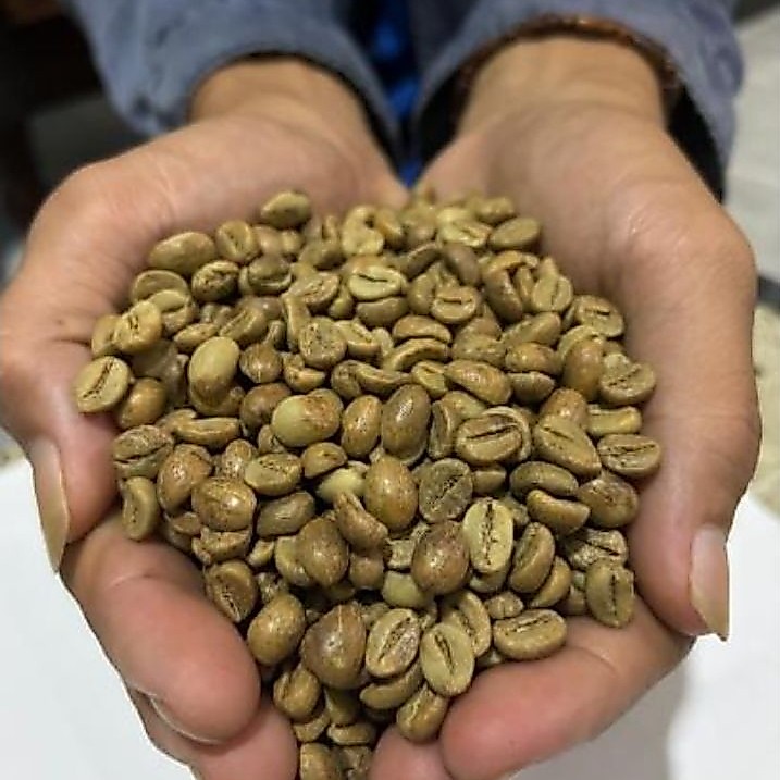 Kopi gabah robusta 100 gram