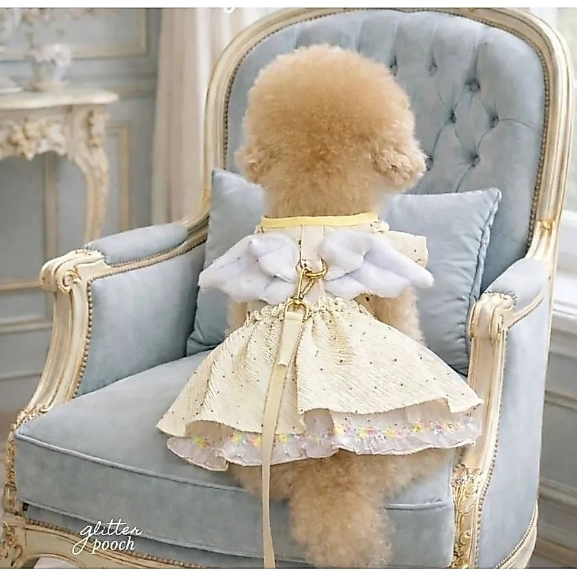 Harness anjing kucing tali tuntun import - Bridgerton Wing Bloom Dress Glitter Pooch