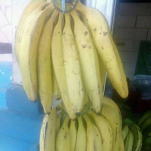 Pisang tanduk 1 kg