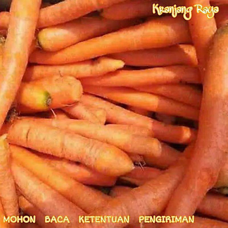 Wortel Lokal