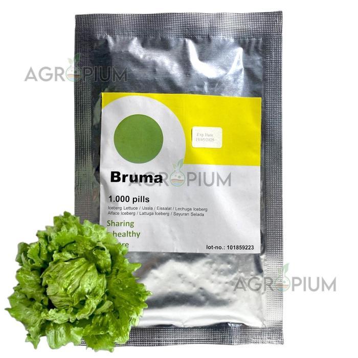 Benih Selada BRUMA RZ Isi 1000 Pills Iceberg Lettuce Rijk Zwaan