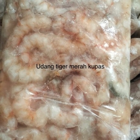 UDANG LAUT TIGER MERAH KUPAS BERSIH