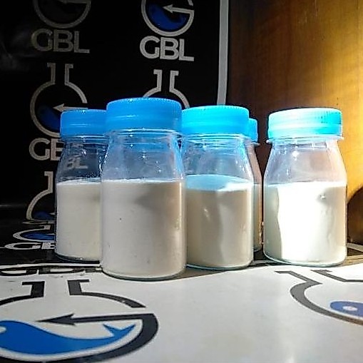Bahan Umpan Biang Susu Prancis