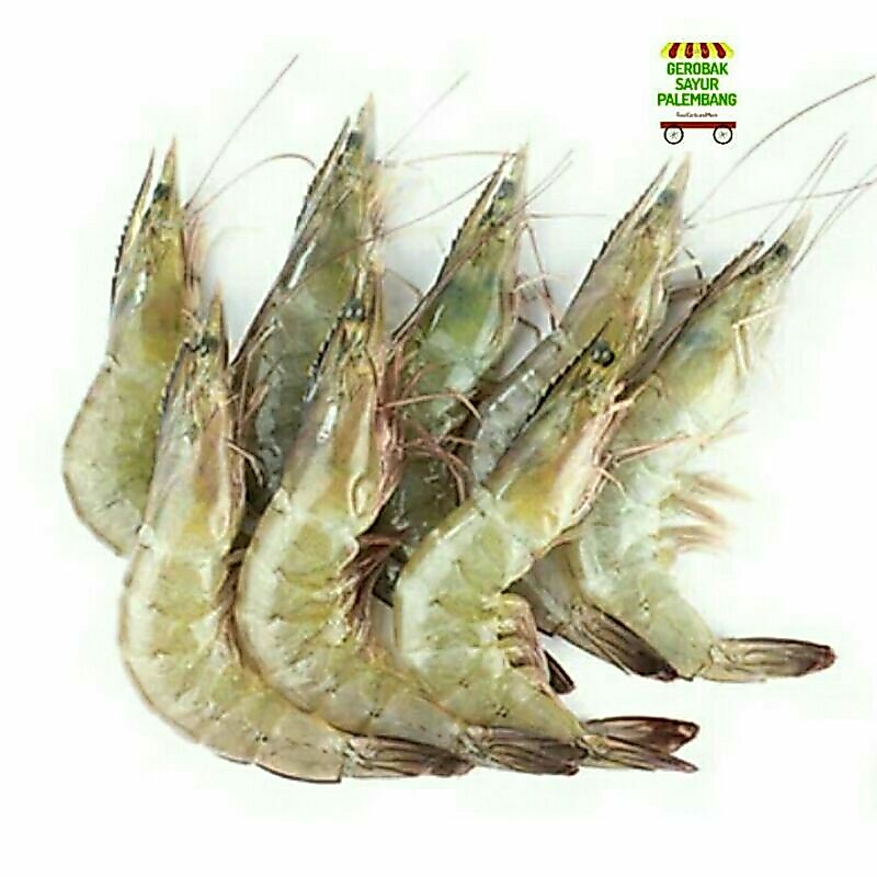 Udang Segar 500 gr - Gerobak Sayur Palembang