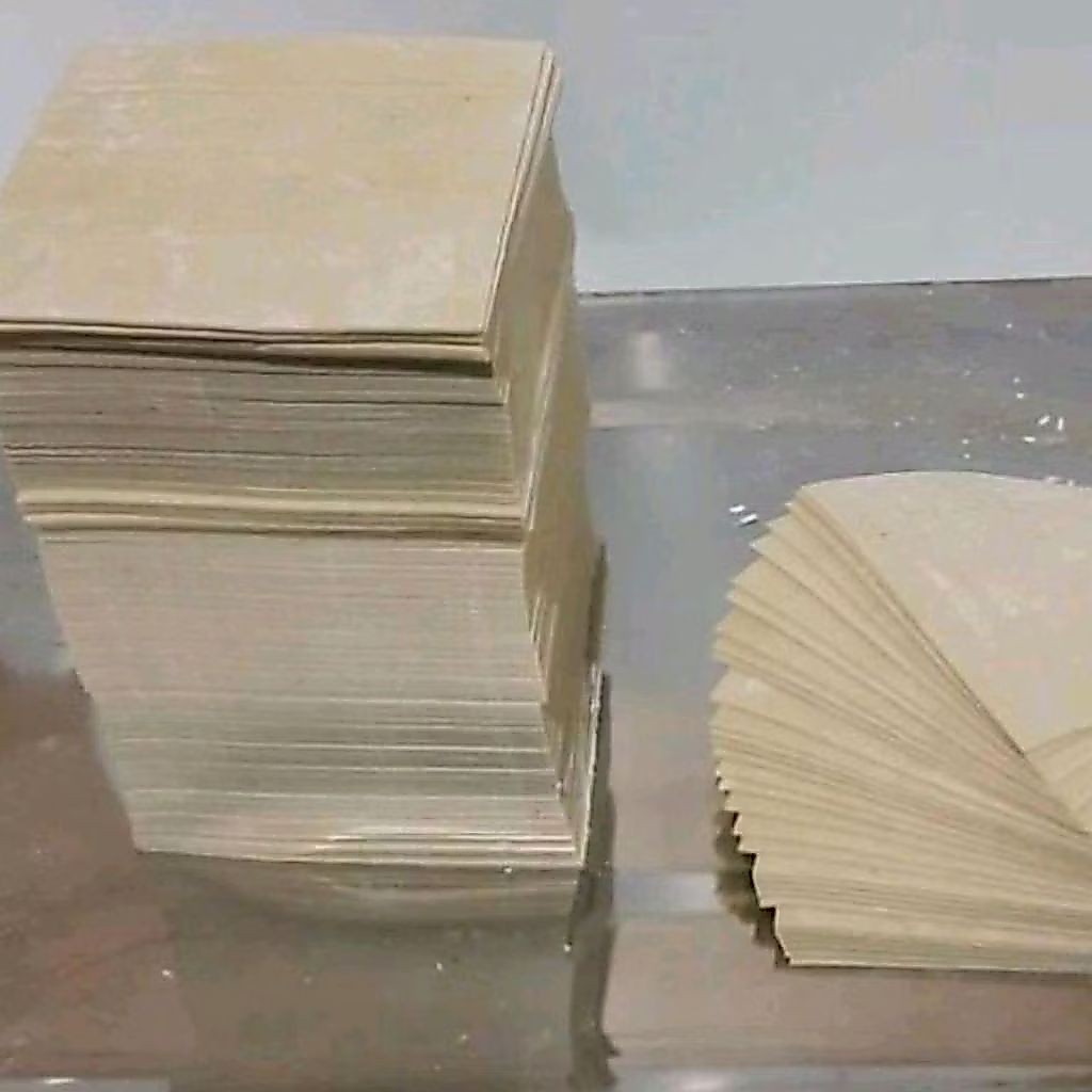 kulit pangsit 200 gram bisa untuk pangsit basah/goreng