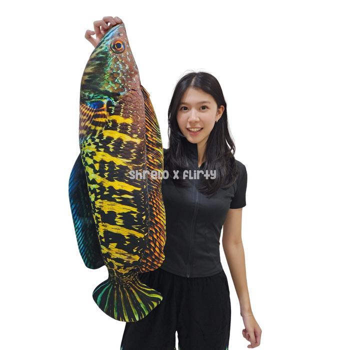 Tas Canvas Shrelo Ikan Gabus Channa Jumbo Segar Kado Unik Dengan Zipper Furing Print Daging Ikan Tal