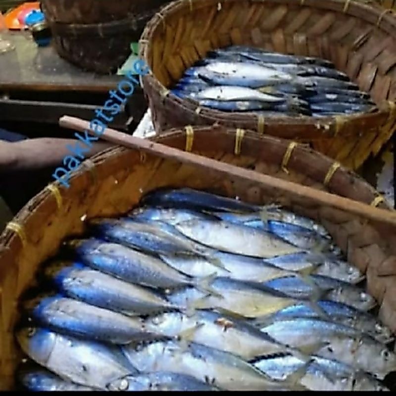 Ikan Kembung Rebus/Gembung Rebus Segar 1kg