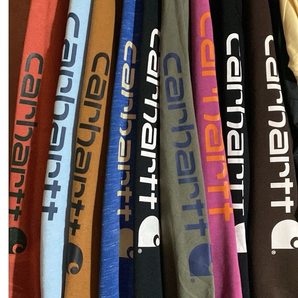 HOODIE CARHARTT SPELLOUT
