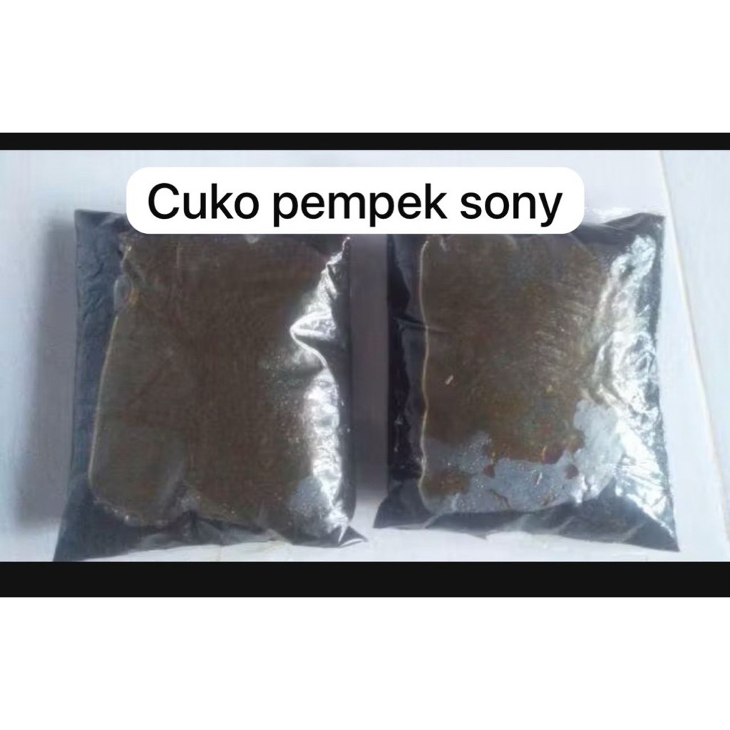 (Asli sony) Cuko pempek sony