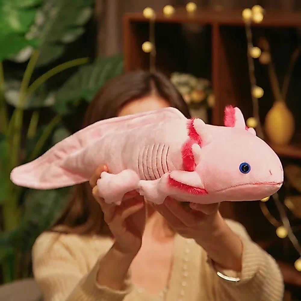 Kawaii 23/45cm Newt Salamander Cute Axolotl Colorful Soft Pillows Keychain Pent Room Sofa Cushion Gi